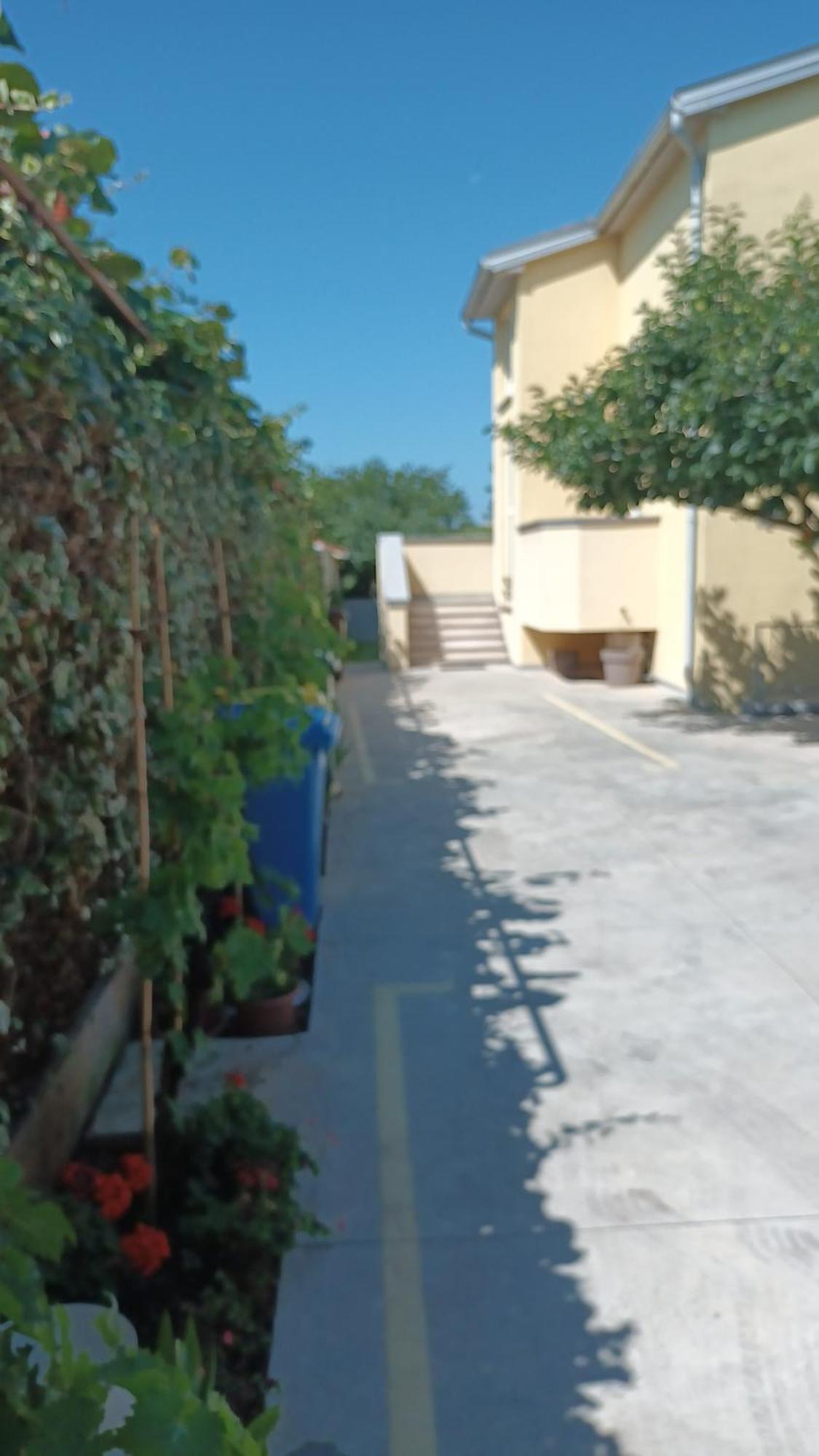Apartments Monte Magno 普拉 外观 照片