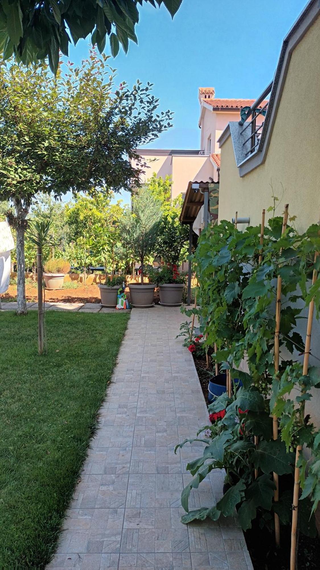 Apartments Monte Magno 普拉 外观 照片
